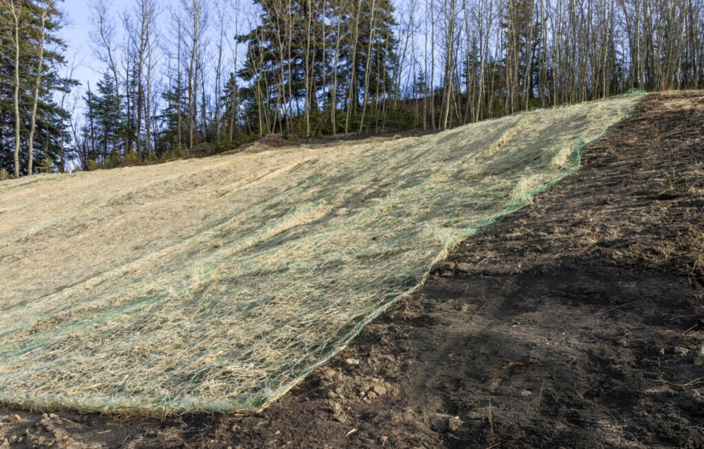 Soil Stabilization in Naples, GA